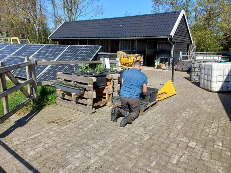 dagbesteding-jij-tuinwerkzaamheden